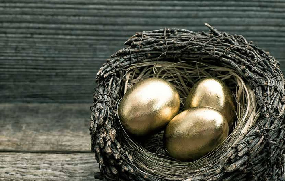 Golden eggs in a nest